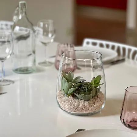 Magnifique Maison Entre Vignes Et Foret Lagorce