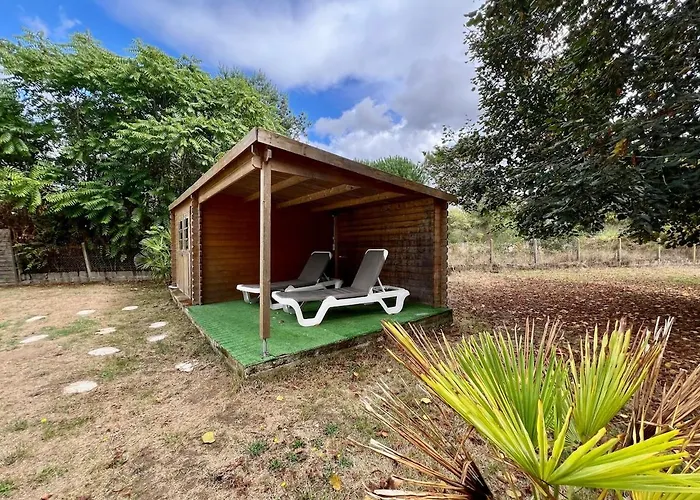 Magnifique Maison Entre Vignes Et Foret *